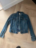 Diesel spijkerjasje maat xl, Kleding | Dames, Jassen | Zomer, Ophalen of Verzenden, Zo goed als nieuw, Maat 46/48 (XL) of groter
