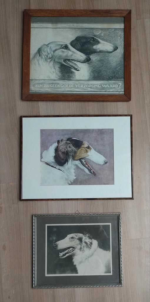3x prachtige Barzoi prenten / tekeningen., Verzamelen, Foto's en Prenten, Gebruikt, Overige onderwerpen, Voor 1940, Ophalen