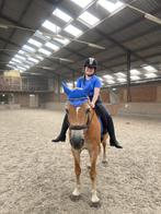 Zorgzame bijrijder zoekt lieve bijrijdpony!, Dieren en Toebehoren, Ophalen of Verzenden, Zo goed als nieuw