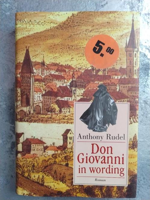 Boek: Don Giovanni in wording - Rudel, Anthony - 97890225313, Boeken, Historische romans, Zo goed als nieuw, Ophalen of Verzenden