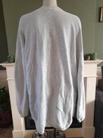 Sissy Boy heerlijke licht grijze cardigan vest mt M 38 40, Kleding | Dames, Maat 38/40 (M), Verzenden, Sissy-Boy, Zo goed als nieuw