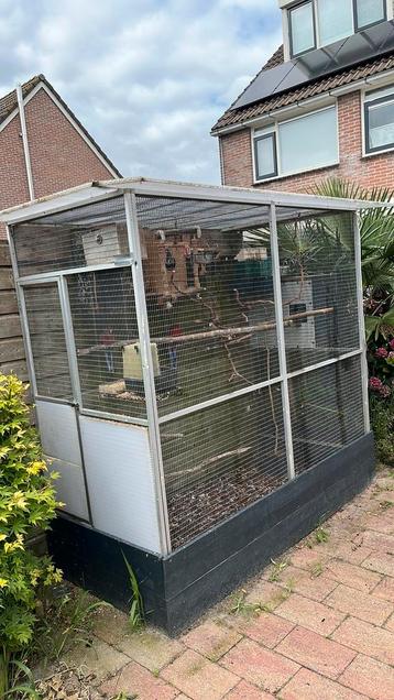 2  pennant rosella koppel.  Met volliere beschikbaar voor biedingen