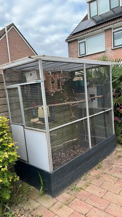 2  pennant rosella koppel.  Met volliere, Dieren en Toebehoren, Vogels | Hokken en Kooien, Zo goed als nieuw, Volière, Aluminium