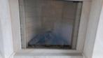 Barbas gaskachel, Ophalen, Gebruikt, Inbouwhaard, Gashaard