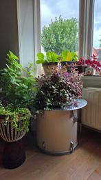 Trommel/plantentafel :), Ophalen, Minder dan 55 cm, Gebruikt, Rond