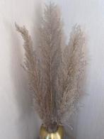 Pampas pluimen 100cm, Huis en Inrichting, Woonaccessoires | Droogbloemen, Zo goed als nieuw, Ophalen