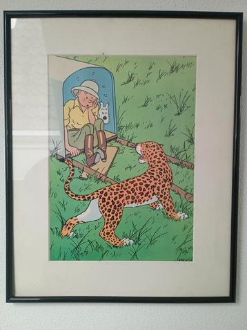 Kuifje in Afrika - Ingelijste Prent beschikbaar voor biedingen