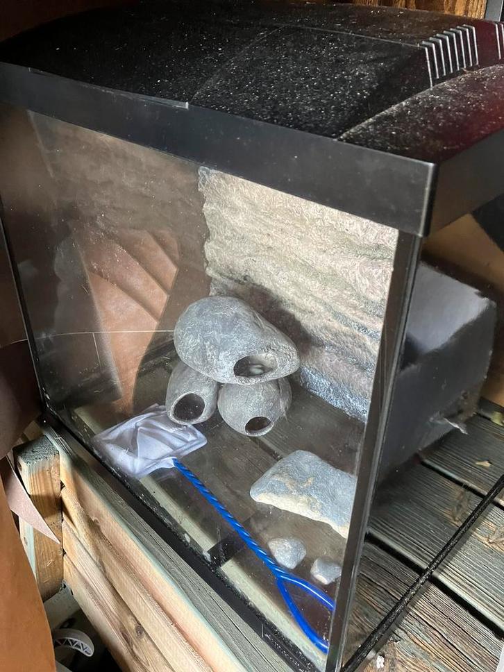 Superfish 50 aquarium grijze rots achterwand en stenen, Dieren en Toebehoren, Reptielen en Amfibieën | Toebehoren, Zo goed als nieuw