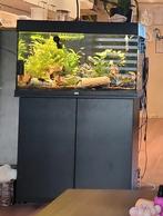 Juwel Aquarium en onderkast., Ophalen, Leeg aquarium