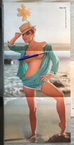 Poster Playboy 1965 Playmate July, 1960 tot 1980, Knipsel(s), Buitenland, Verzenden