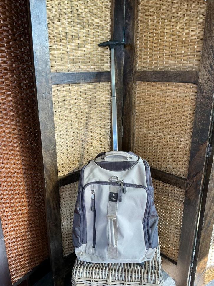 Trolley en reistas en rugzak in 1, Sieraden, Tassen en Uiterlijk, Tassen | Reistassen en Weekendtassen, Gebruikt, Overige kleuren