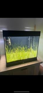 Lido 120, Dieren en Toebehoren, Vissen | Aquaria en Toebehoren, Ophalen of Verzenden, Zo goed als nieuw, Leeg aquarium