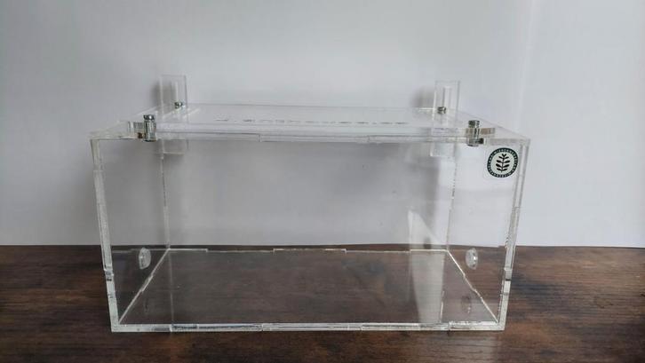 GROTE MIEREN ARENA INSECTEN TERRARIUM, Dieren en Toebehoren, Insecten en Spinnen, Mieren