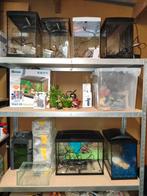 Diverse aquaria te koop.., Ophalen, Zo goed als nieuw, Leeg aquarium