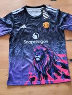 Voetbalshirts (2x), Sport en Fitness, Voetbal, Maat S, Ophalen of Verzenden, Nieuw, Shirt