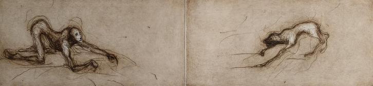 Ronald Tolman – Metamorfose - gesigneerde ets, Antiek en Kunst, Kunst | Etsen en Gravures, Ophalen of Verzenden