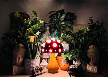 Mushroom lamp beschikbaar voor biedingen