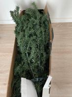 Kerstboom 210cm, Ophalen of Verzenden, Gebruikt
