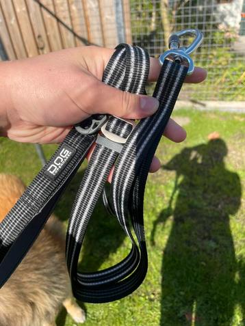 Dog copenhagen riem zwart beschikbaar voor biedingen