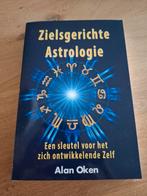 Joe Vitale - Het mysterie achter Zero Limits, Boeken, Achtergrond en Informatie, Joe Vitale, Ophalen of Verzenden, Zo goed als nieuw