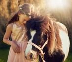 Gezocht super brave kinder pony, Dieren en Toebehoren, Pony's, Meerdere dieren, Dressuurpony