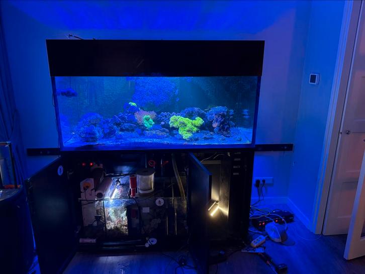 Waterbox 710 l zeeaquarium met sump, Dieren en Toebehoren, Vissen | Aquaria en Toebehoren, Gebruikt, Gevuld zoetwateraquarium