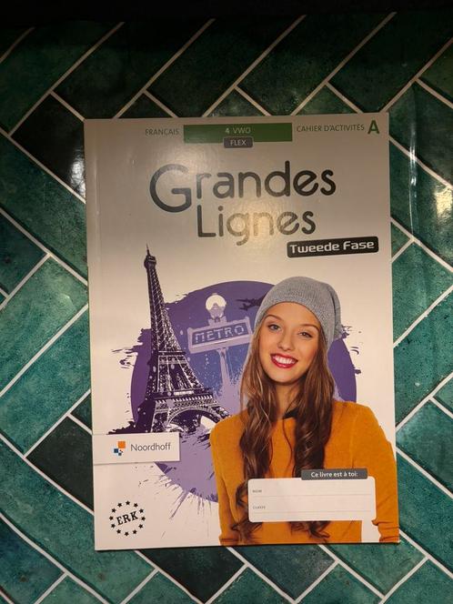 Grandes Lignes V4 werkboek – set voor succes! (allebei), Boeken, Schoolboeken, Zo goed als nieuw, Frans, VWO, Verzenden