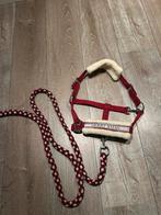 Kerst halster shetlander met touw en bond, Ophalen of Verzenden, Zo goed als nieuw, Overige soorten