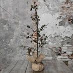 Nieuw Binnen! Kunst Kerstboom met Dennenappels, Sappemeer, Bij, Nieuw, Ophalen of Verzenden