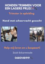 Trimbehandeling, Dieren en Toebehoren, Honden-accessoires, Ophalen of Verzenden
