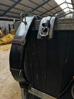 Lammert haanstra longeersingel, Dieren en Toebehoren, Ophalen of Verzenden, Gebruikt, Overige soorten