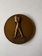 Dammann, P.M. Brons medal, medaill,  penning 80mm., Ophalen of Verzenden, Brons