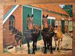 Dieren - Paarden - Emmen, Verzamelen, Ansichtkaarten | Dieren, Ophalen of Verzenden, Ongelopen, Paard