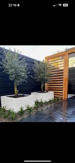 Polyester plantenbak, Tuin en Terras, Ophalen of Verzenden, Nieuw
