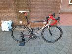 Focus Cayo maat L, Overige merken, Carbon, Ophalen of Verzenden, Zo goed als nieuw