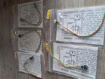 HENCKENS 2034 DWERG BLOKSEIN beschikbaar voor biedingen