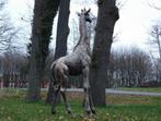 Eenmalig: Giraffe XL - 180 cm - Polystone, Ophalen of Verzenden