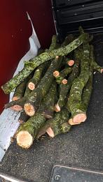 Haardhout brandhout, Minder dan 3 m³, Ophalen, Overige houtsoorten, Stammen