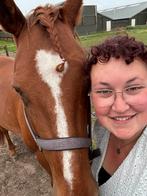 Verzorger/bijrijdster gezocht, Dieren en Toebehoren, Paarden en Pony's | Overige Paardenspullen, Ophalen, Recreatie