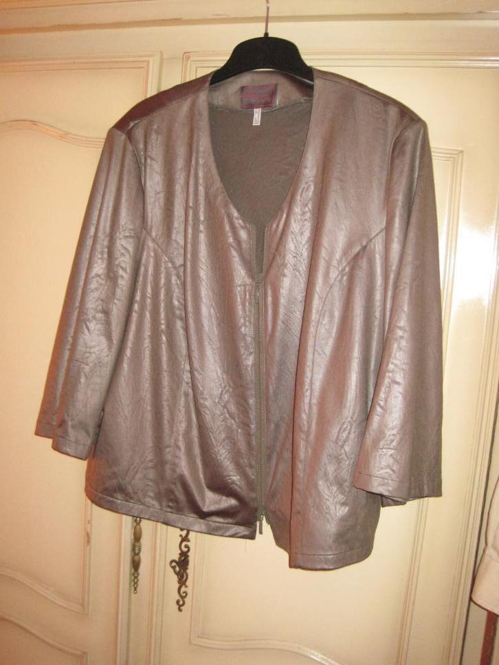 "Merkkleding" Nieuw of Bijna Nieuw! Grote Maat Ruim 30 Stuks, Kleding | Dames, Dames-kledingpakketten, Zo goed als nieuw, Maat 46/48 (XL) of groter