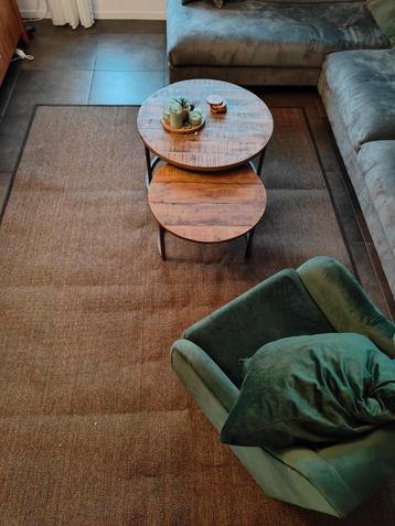 Groot vloerkleed (210x300cm) - Zo goed als nieuw! beschikbaar voor biedingen