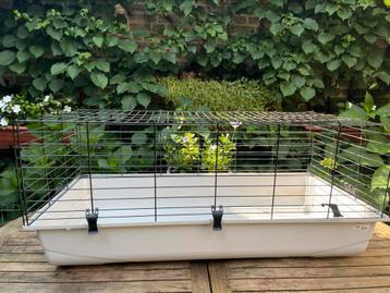 Nette traliekooi voor cavia of konijn, 1 meter  beschikbaar voor biedingen