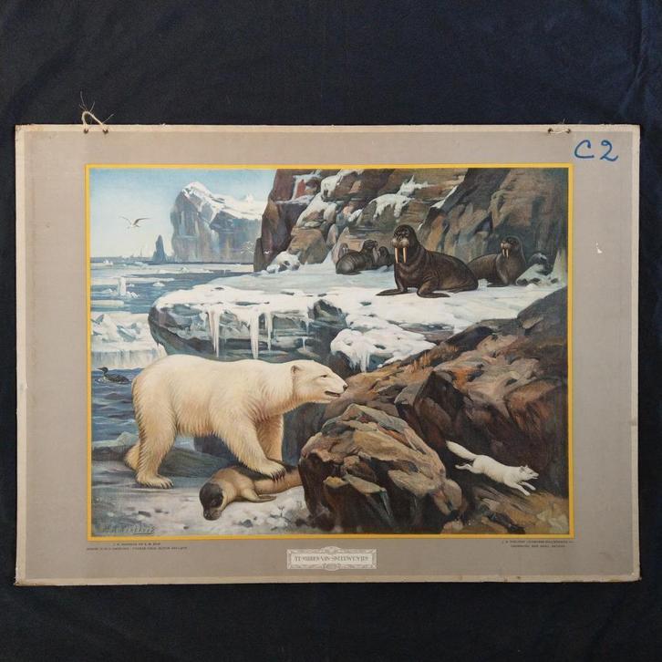 Schoolplaat Te midden van sneeuw en ijs – Koekkoek 1932, Antiek en Kunst, Antiek | Schoolplaten, Natuur en Biologie, Ophalen of Verzenden