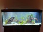 Compleet Juwel Aquarium Rio 450 Led 151x51x61 cm (450 liter), Dieren en Toebehoren, Vissen | Aquaria en Toebehoren, Ophalen, Zo goed als nieuw