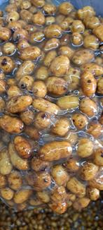 XXL Tijgernoten 4,50 per kilo!!!, Ophalen of Verzenden, Nieuw, Overige typen