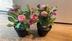 2 nep plantjes, Ophalen of Verzenden, Zo goed als nieuw