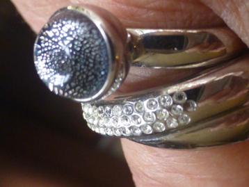 2 Edelstalen Ringen: grijze Steen + Fossil Cross-Bands NIEUW beschikbaar voor biedingen