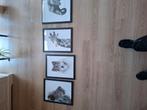 4 dieren posters, Huis en Inrichting, Woonaccessoires | Lijsten, Ophalen, Minder dan 50 cm, Zo goed als nieuw, Minder dan 50 cm