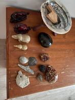 Verzameling Stenen, Fossielen en Beeldjes, Ophalen of Verzenden, Gebruikt