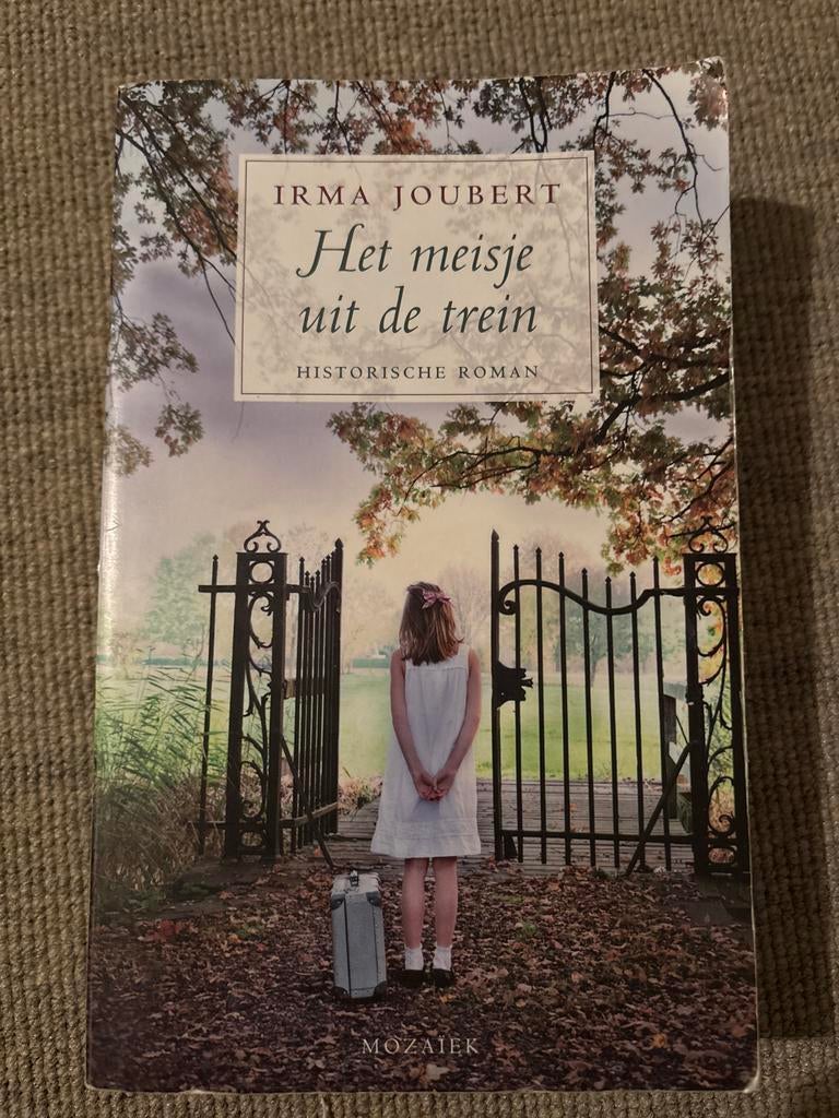 Het meisje uit de trein - Irma Joubert, Boeken, Historische romans, Zo goed als nieuw, Ophalen of Verzenden